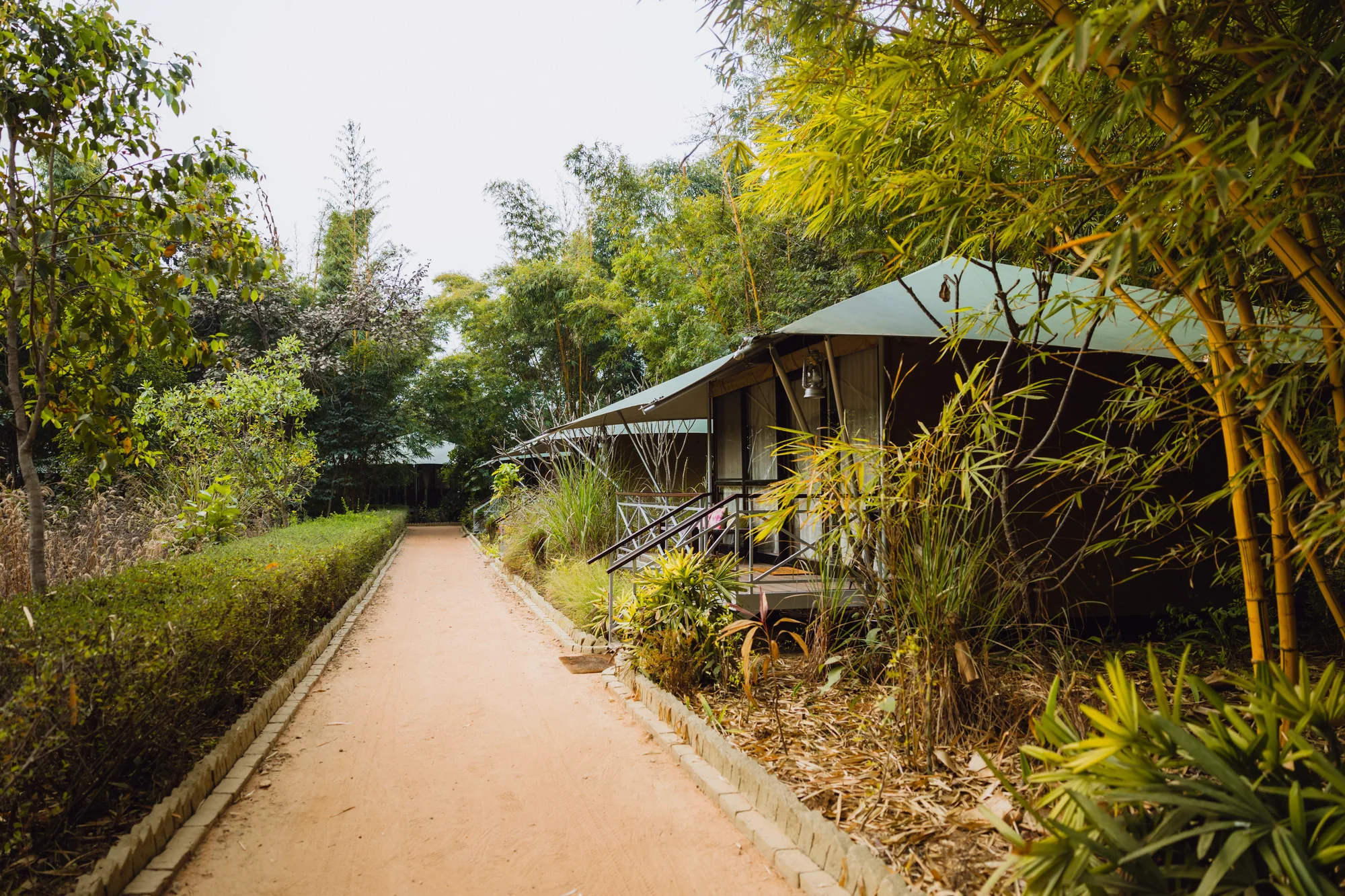 A quiet path through trees to a tented suite at Bagh Tola