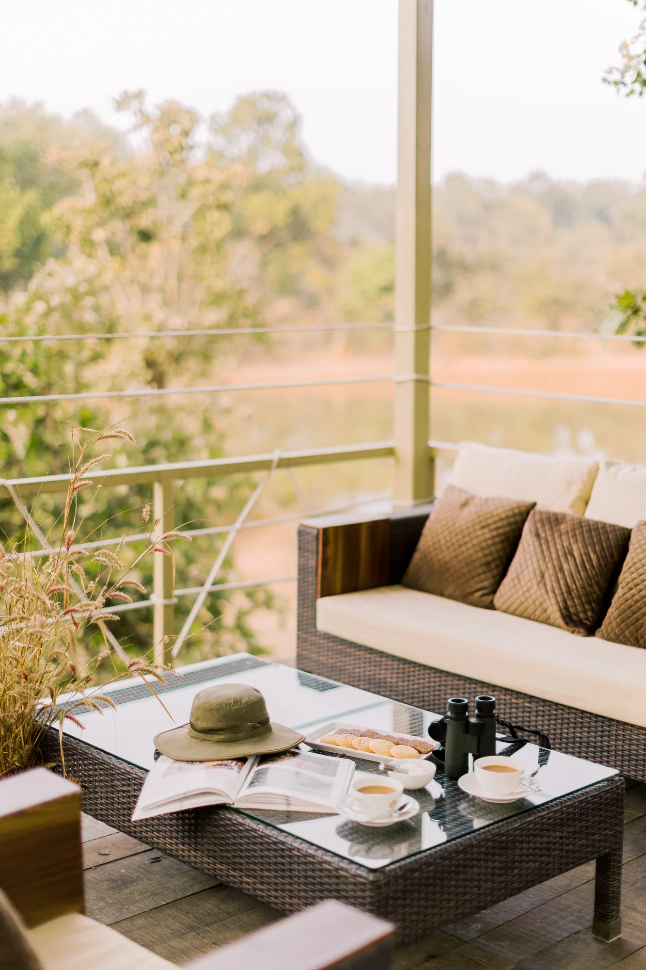 A peaceful treetop veranda overlooking the natural landscape