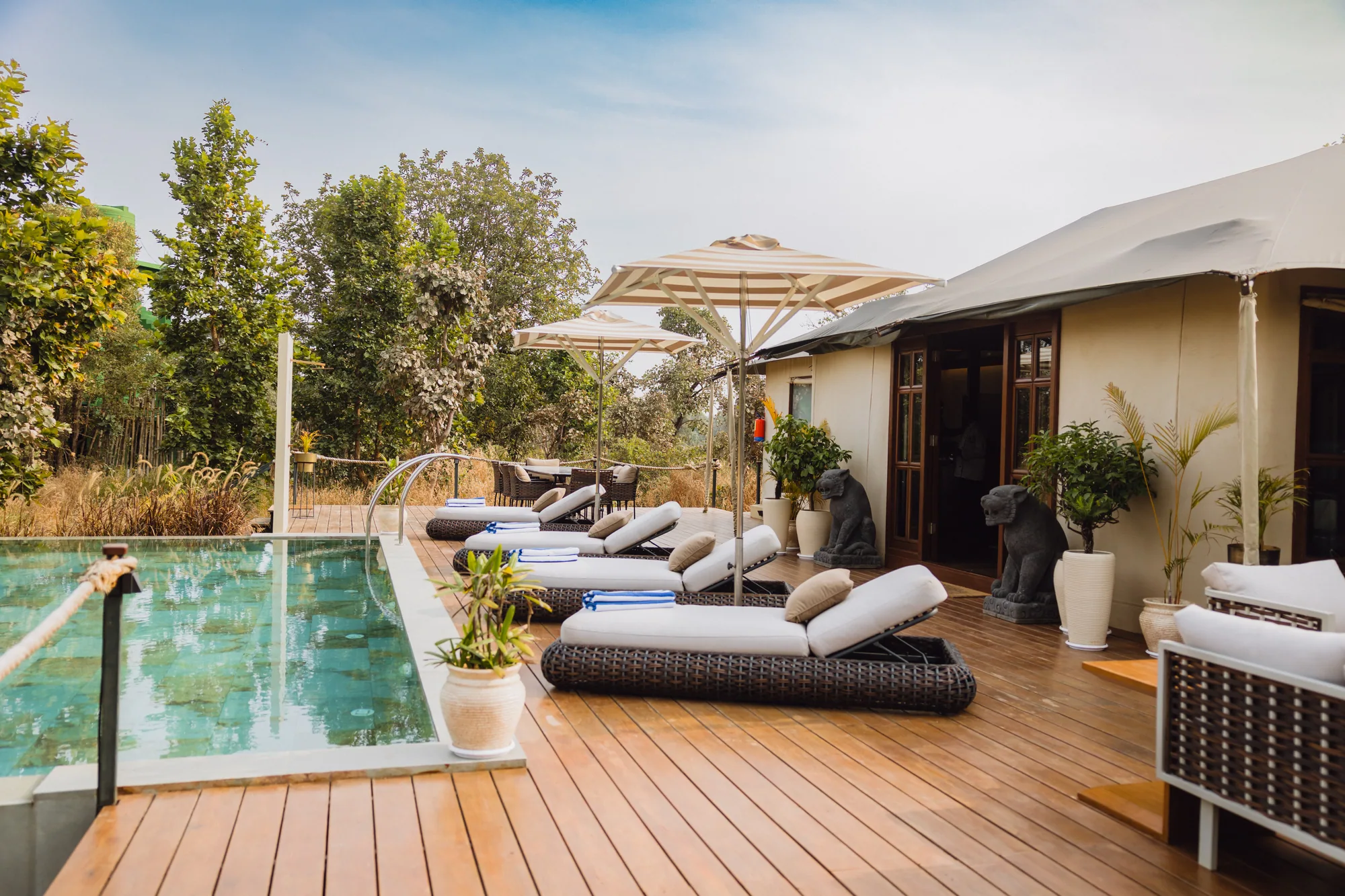 Pool and sun deck surrounded by trees at Bagh Tola Founders Camp